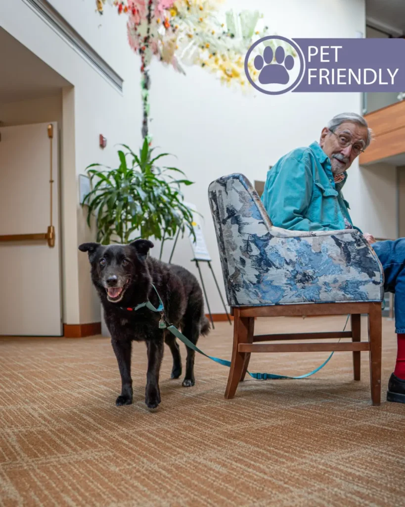 north hill pet friendly 2